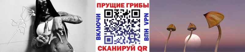 Галлюциногенные грибы мухоморы  Муравленко 
